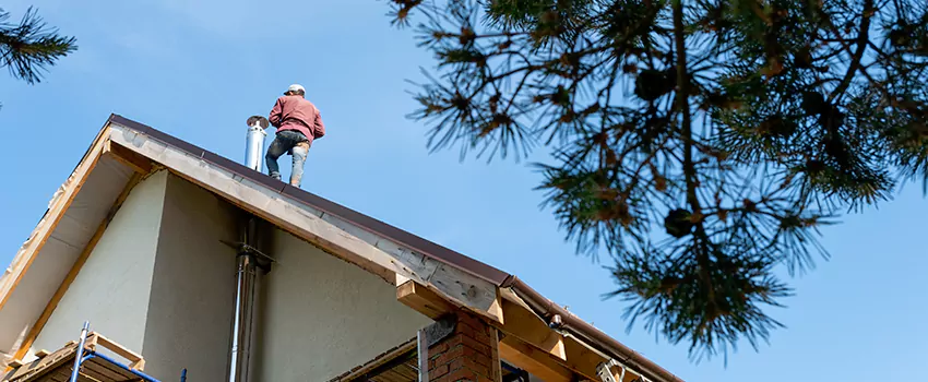 Birds Removal Contractors from Chimney in Allendale, MI